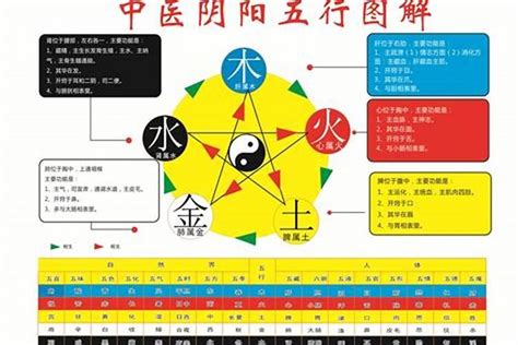 東南 五行怎么看